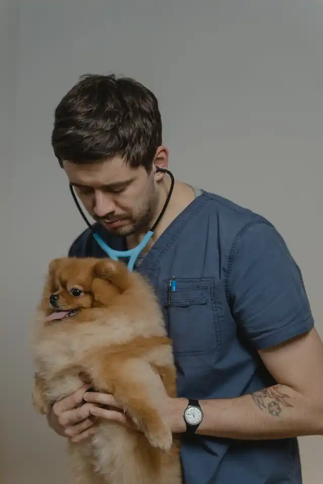 Дмитрий Волков